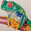 Pintura de una rana de diferentes colores sobre un papel color hueso